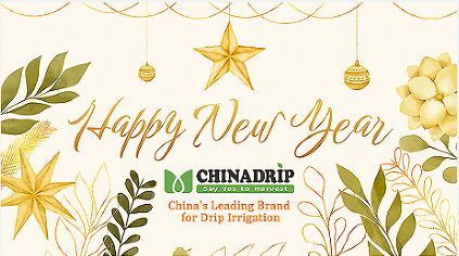 Chinadrip Chinese New Year's Holiday Notice.(2024)    