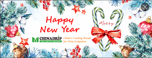 Merry Christmas and Happy New Year 2025