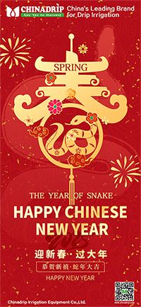  Chinadrip Chinese New Year's Holiday Notice (2025)
